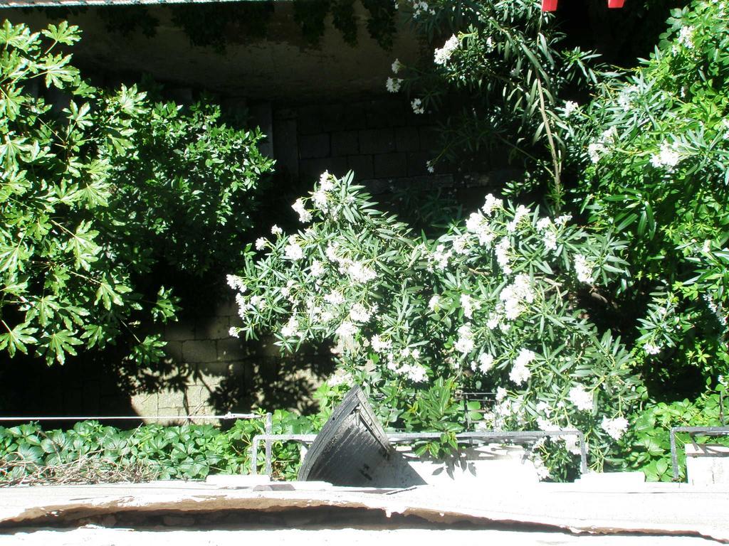 Manin Venice Room photo